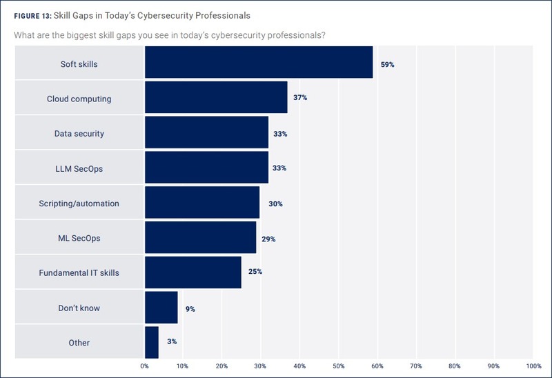 ギャップのあるセキュリティ従事者のスキル