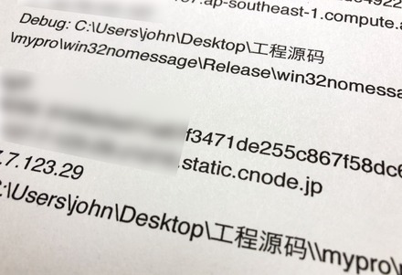 日本年金機構のサイバー攻撃に使われたウイルスを入手し、独自に解析したところ、デバッグ情報のメタデータから「ソースコード」を意味する中国簡体字の記述が見つかった。さらにユーザー名「john」は「John Doe」（名無しの権兵衛）を意味するとみられ、欧米文化を知る一定程度の教養を思わせる。