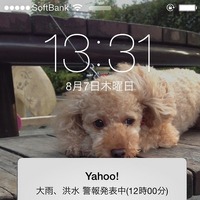 Yahoo! JAPANアプリに気象警報と避難情報をプッシュ通知する緊急情報通知機能を追加(ヤフー) 画像