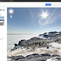 ロス島ロイド岬のアデリーペンギンの群生地
