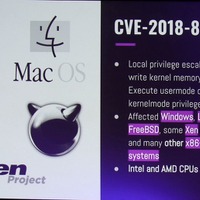 CVE-2018-8897