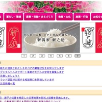 民生委員に係る個人情報が記載された書類を紛失（新潟県） 画像