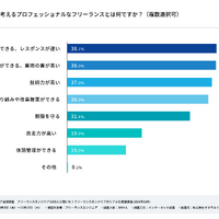 あなたが考えるプロフェッショナルなフリーランスとは何ですか？（複数選択可）