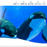 特定操作で個人情報が閲覧可能に ～ 神戸須磨シーワールドのKOBEこども割クーポン利用申請システムに不備 画像