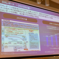 DXレポート ～2025年の壁～