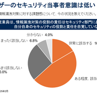 国内企業の情報漏洩対策に対する課題感