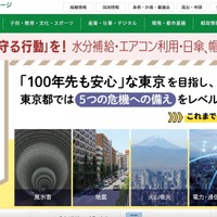 システムエグゼへのランサムウェア攻撃、東京都港湾局は調布飛行場受付システムの運用保守を委託 画像