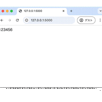 診断員が入力したOTPが、そのままレスポンスとしてブラウザに返った瞬間