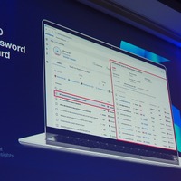 SSO Password Guard