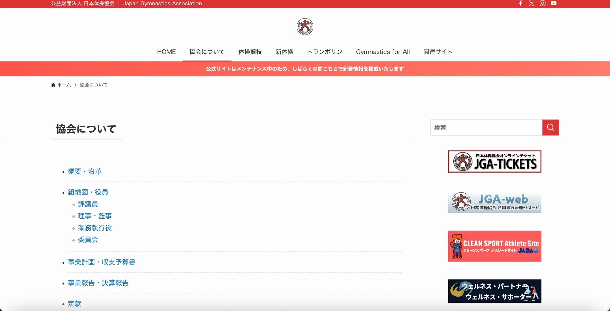 残念ながら不正アクセスに対抗できない状況が続いております」日本体操