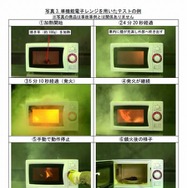 単機能電子レンジを用いた食品加熱テストの例