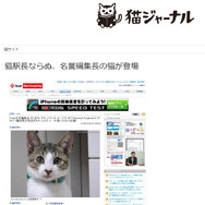 当誌名誉編集長(自称)りくが、猫専門ブログ「猫ジャーナル」にて紹介されました