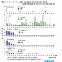 山形系統のB型ウイルスを横浜市で確認(国立感染症研究所) 画像