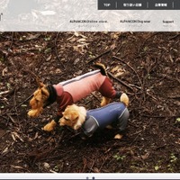 ペット用品取扱い「アルファアイコンオフィシャルショップサイト」に不正アクセス、1週間で発覚 画像