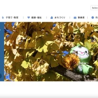 請求者に「百条委員会の中で、会議録は非公開の部分ではと思います」は市議会会議規則第113条第2項に違反 画像