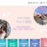 エイチ・エス損害保険に不正アクセス、不適切な内容の「お知らせ」が公開 画像