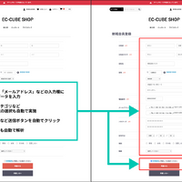 Webアプリケーション脆弱性診断ツール「GMOサイバー攻撃 ネットde診断 for Webアプリ」に AI エージェントによる「フォーム自動入力・送信機能」を追加 画像