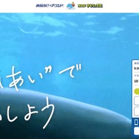 カリフォルニアアシカの愛称募集に応募した 61 名の個人情報閲覧可能に 画像