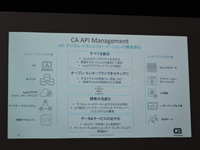 アプリケーションエコノミーにおける API 管理