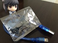 配布されたUSB接続する何か