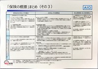 [参考資料] CyberEdge 保険概要：対応費用、逸失利益の詳細