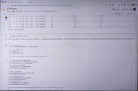 DDIRはこのような形式で公開されている。データはベクトルデータになっている