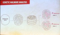 分類されたマルウェアから「遺伝子」情報を抽出