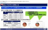 国内中小企業の実態：国内企業の99％が中小企業に分類される