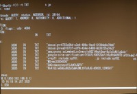 DNSのTXTレコードは「役に立つ」情報が多い