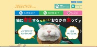 トップページ
