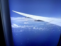空港おじさんのテンプレ写真2