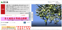 トップページ