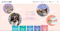 トップページ