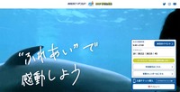 トップページ