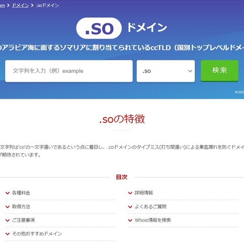 タイプミスも漏らさず集客？ 予防的ドメイン名取得は有効か 画像