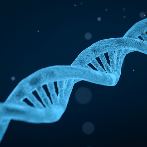 狼藉運営の DNA 検査企業、政府に告発される 画像