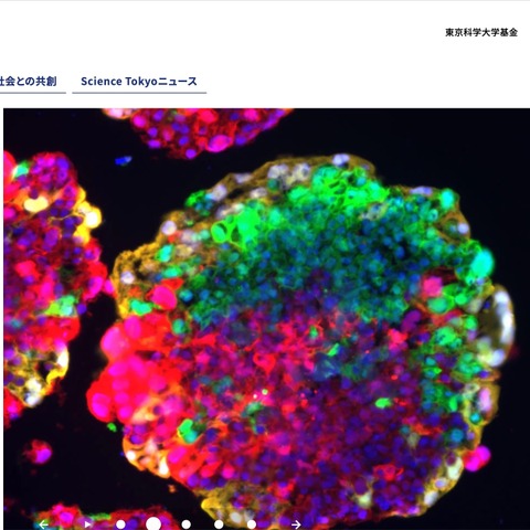 東京科学大学の情報基盤に不正アクセス、個人情報が漏えいした可能性 画像