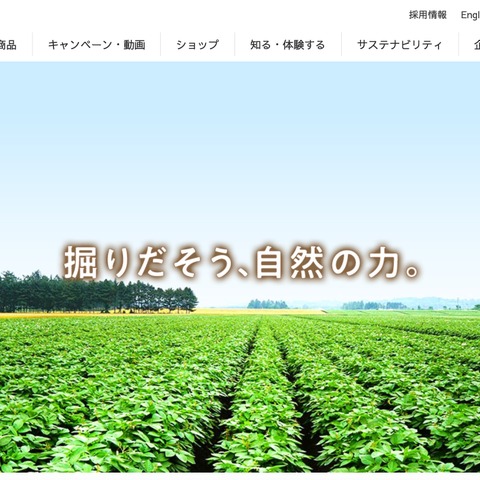 カルビーのプロ野球チップス関連サービス「PhotoGoods」で個人情報漏えいの可能性 画像