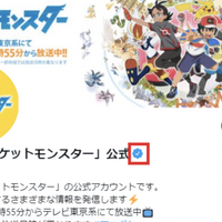 アニメ「ポケモン」公式ツイッターアカウントのなりすましを確認、DMが届いても削除を
