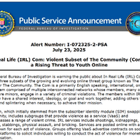 バイオレンス・アズ・ア・サービス「In Real Life」～ 銃撃や誘拐など物理暴力犯罪に少年少女を勧誘するオンライン集団