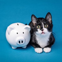 身代金支払を断固拒否してカーネギーメロン大学ほかセキュリティ研究組織に要求額と同額を寄付したＣＴＯ