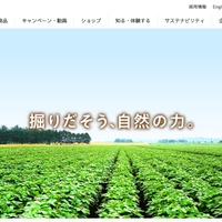 カルビーのプロ野球チップス関連サービス「PhotoGoods」で個人情報漏えいの可能性