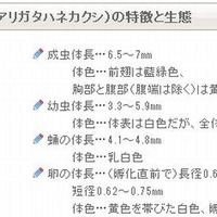 皮膚炎を起こす「やけど虫」が増加、6～8月に特に多く発生