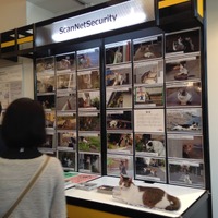 にゃークサイド写真展開催記念、山本洋介山氏インタビュー